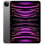 iPad Pro 12.9 M2 (2022)